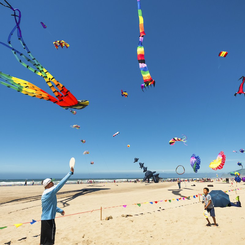 Summer Kite Festival in Lincoln, Oregon.