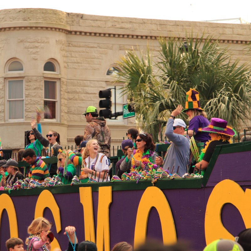 Mardi Gras trees of Fairhope - Gulf Coast Media