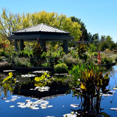 Beautiful Scenic Botanic Gardens in Denver in the summer.