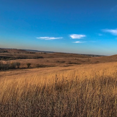 Konza Prairie