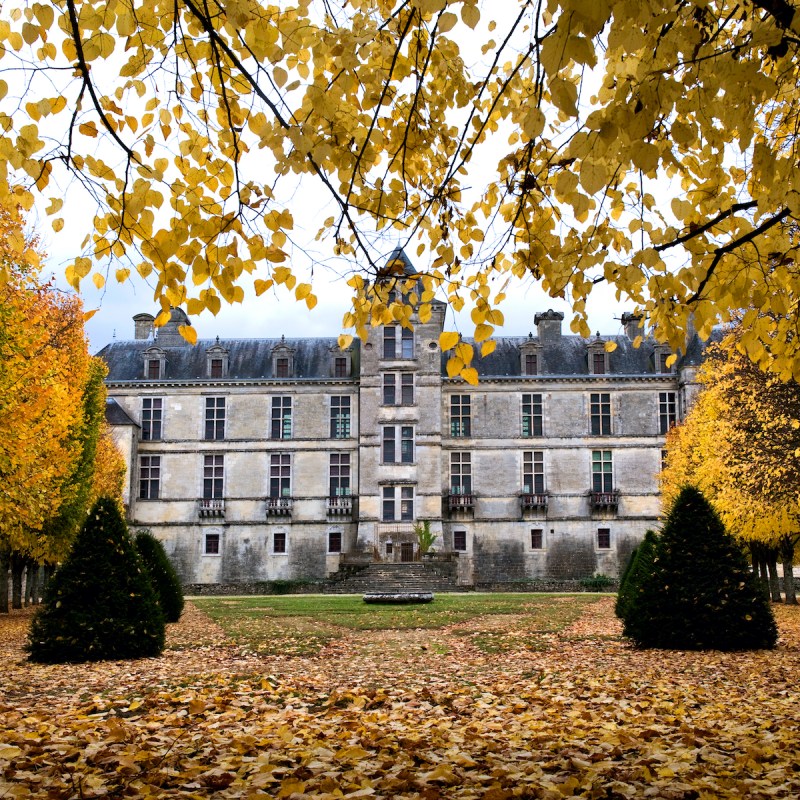 The chateau of Cadillac, France