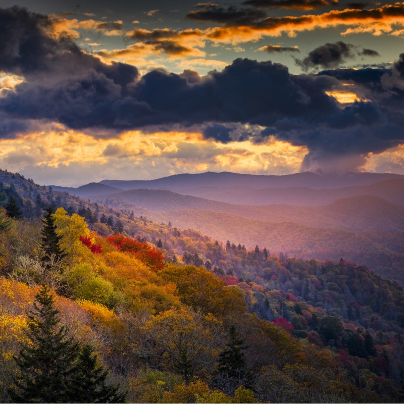 A single shaft of golden dawn sunlight illuminates autumnal ridges and valleys in Great Smoky Mountains National Park