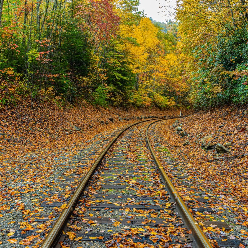 Train tracks running through New River Gorge National Park