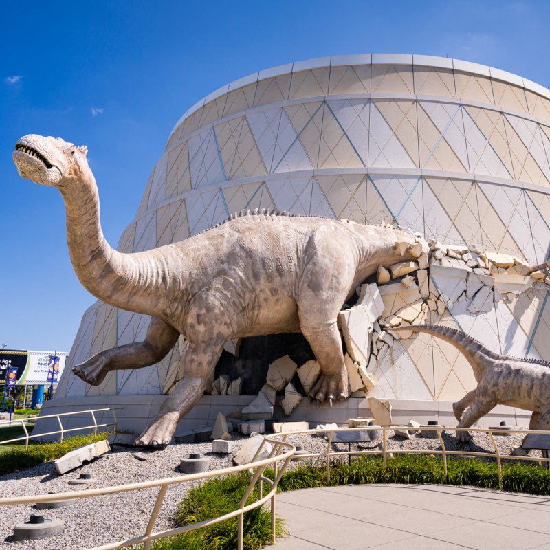 Indianapolis Children’s museum with models of dinosaurs