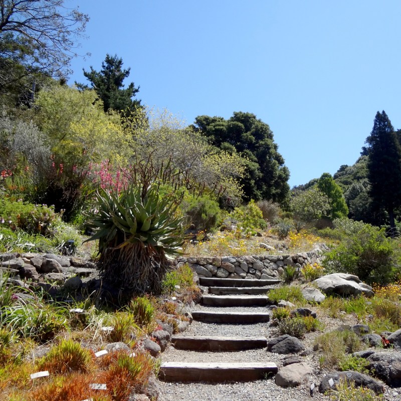 Berkeley, California Botanical Garden