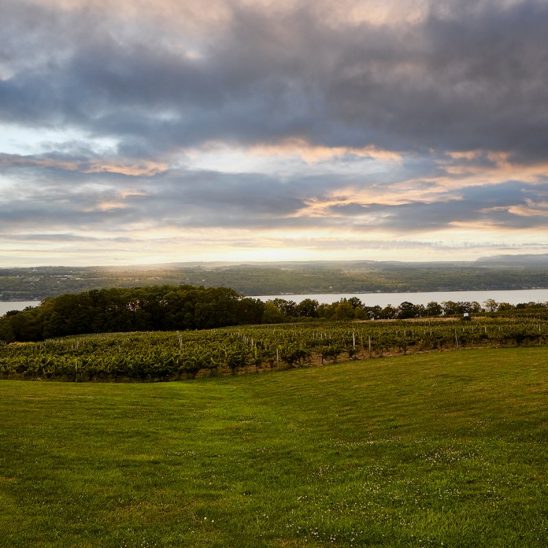 Standing Stone Vineyards