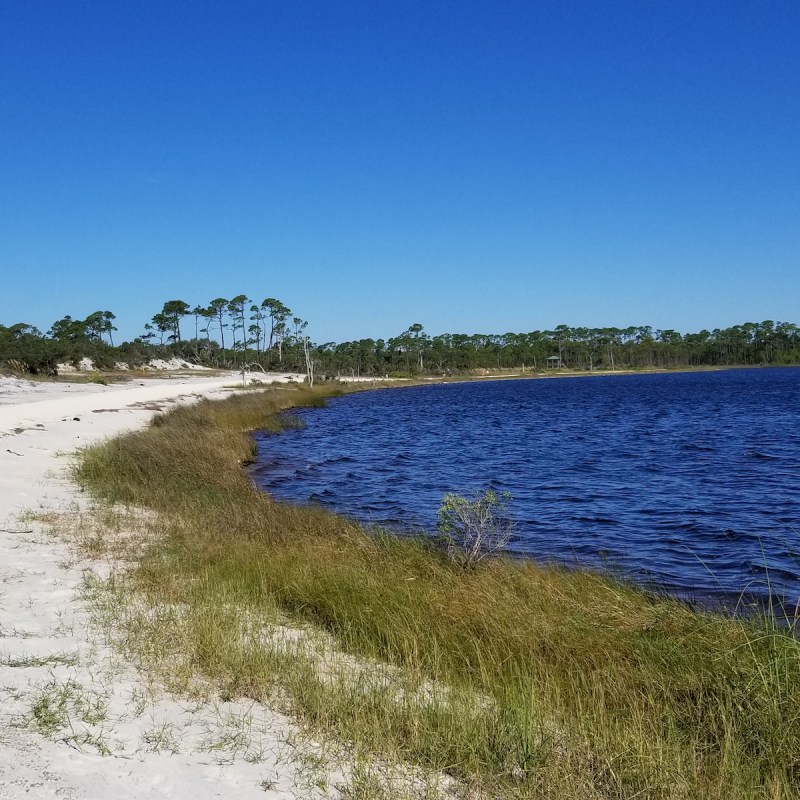 The morning sun shimmers on Little Lagoon in Gulf Shores, Alabama.