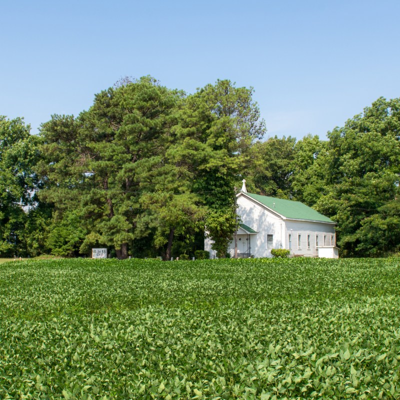 Little Zion Church in Greenwood, Mississippi.