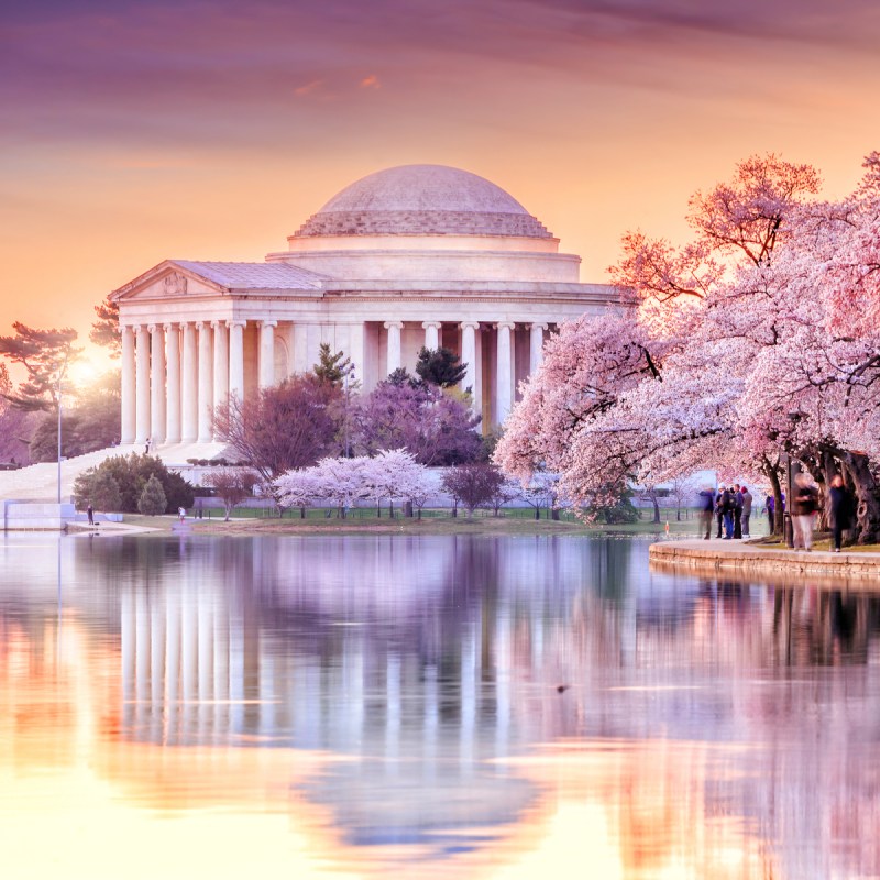 the Jefferson Memorial during the Cherry Blossom Festival. Washington, DC