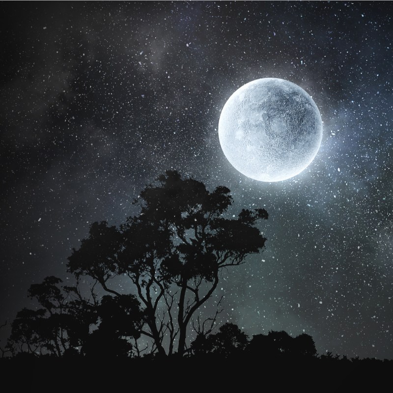 Full moon in sky.