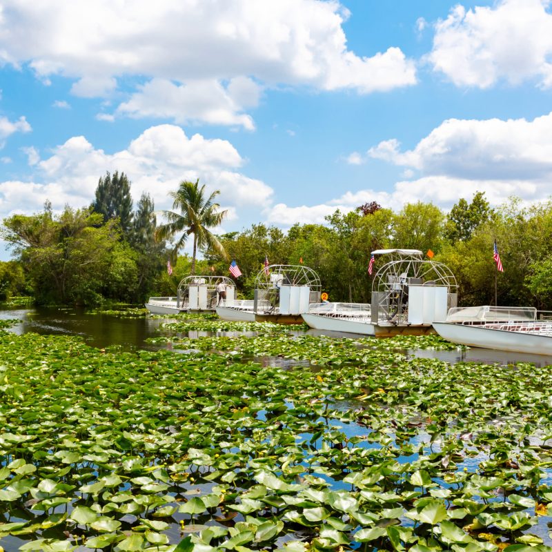 Airboats at Everglades National Park in Florida