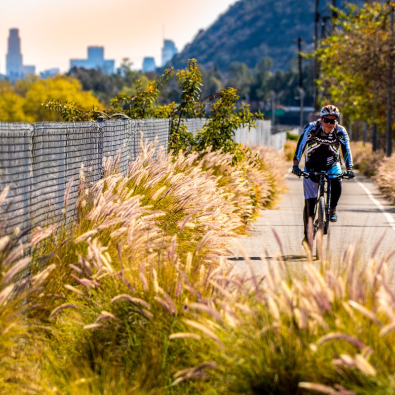 Bike path in Los Angeles.