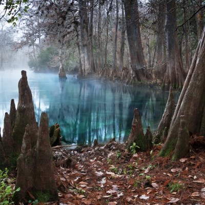 Manatee Springs State Park