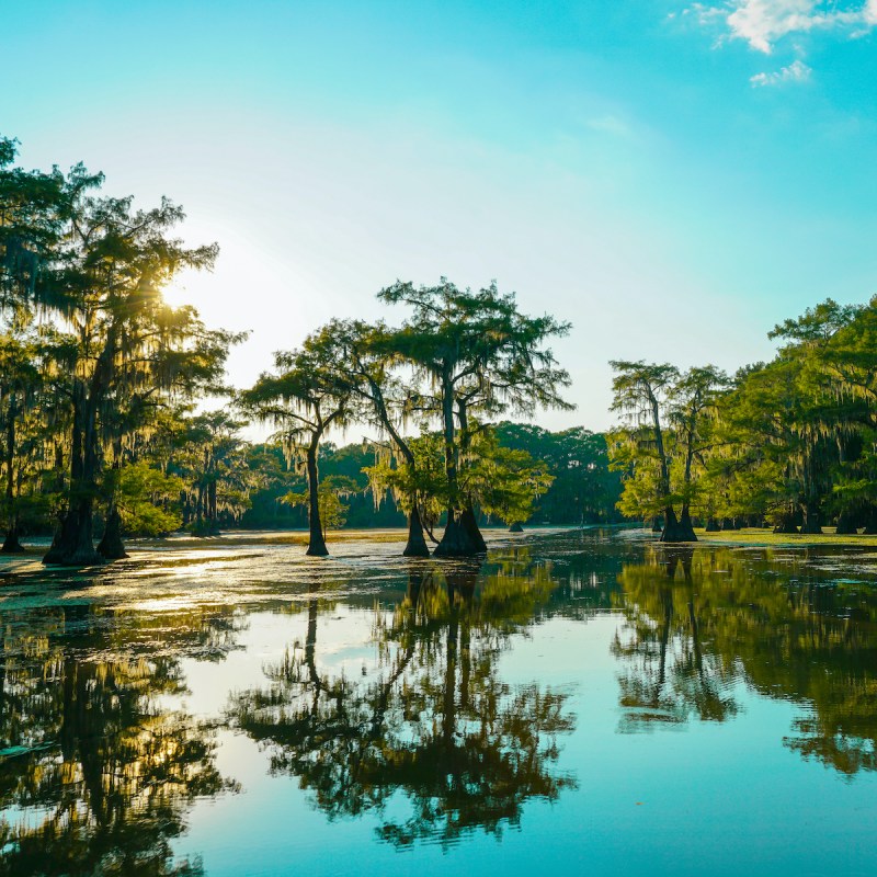 Caddo Lake