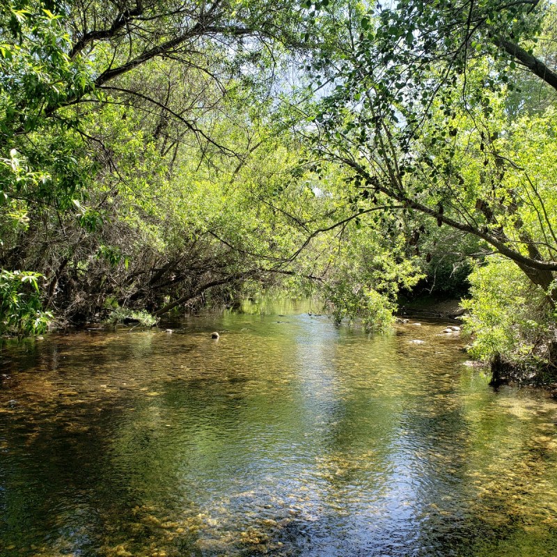 Garland Ranch Regional Park