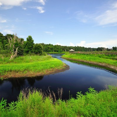 A Water bend at Paynes Prairie Preserve State Park