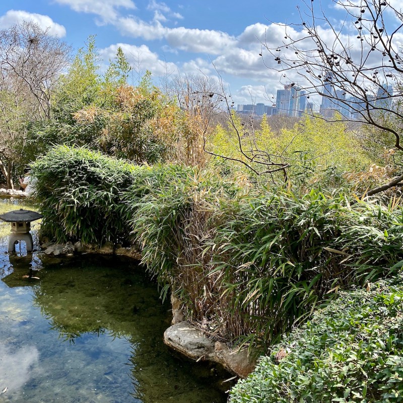 Zilker Botanical Garden in Austin, Texas, during spring.