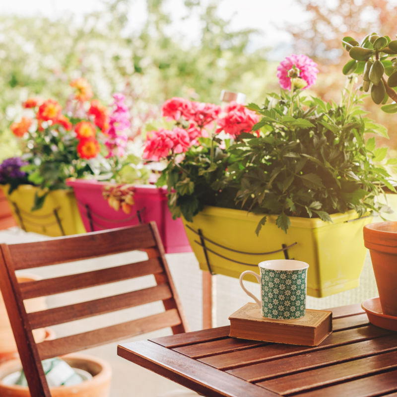 Cozy summer balcony with many potted plants, cup of tea and old vintage book.