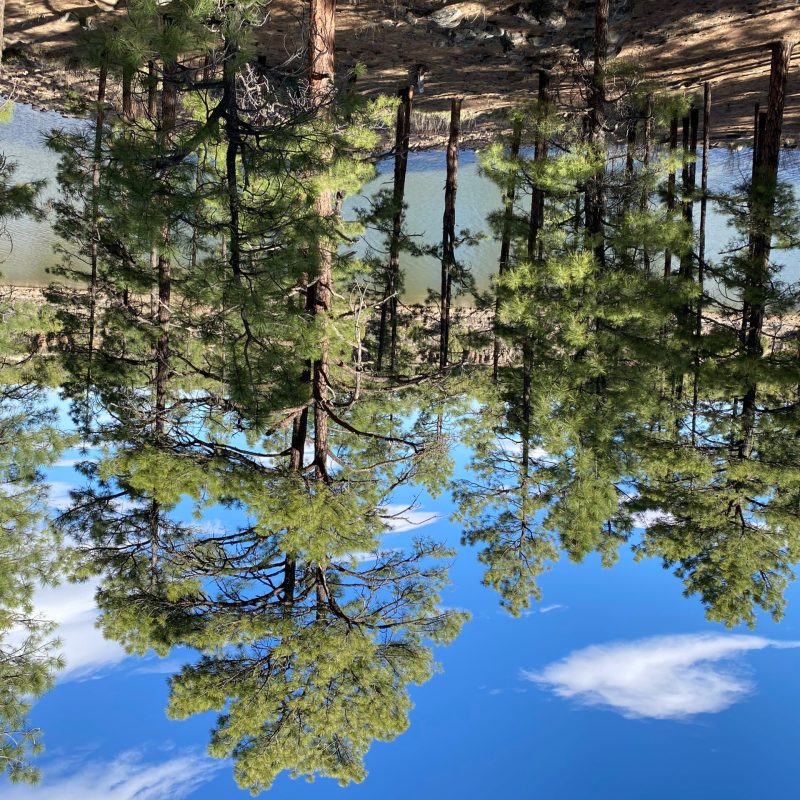 Beautiful Pinetop-Lakeside