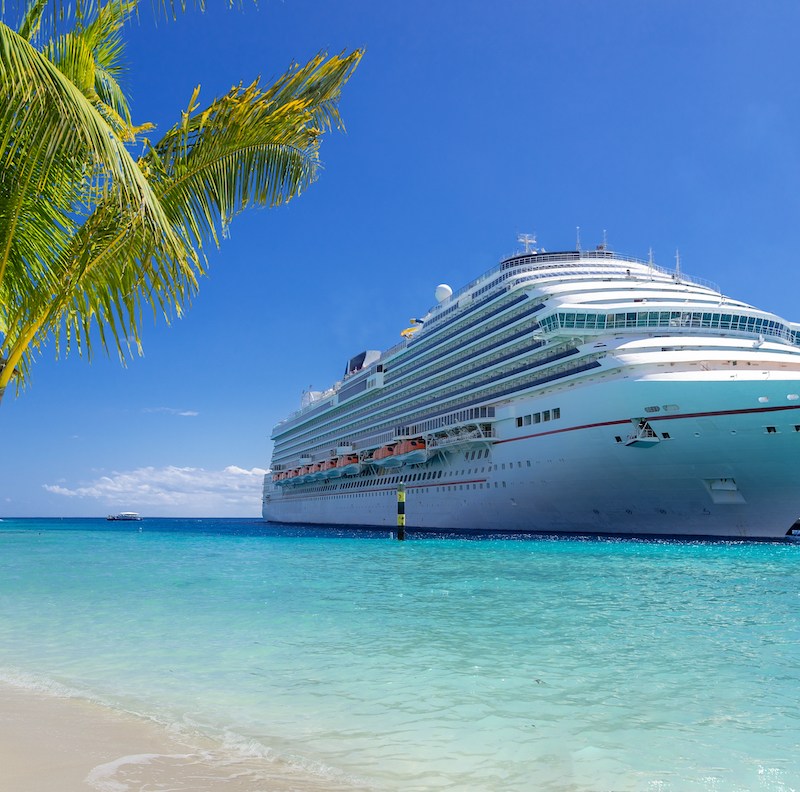 Cruise ship docked at tropical port on sunny day