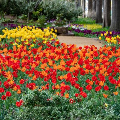 Myriad Botanical Gardens Spring Blooms