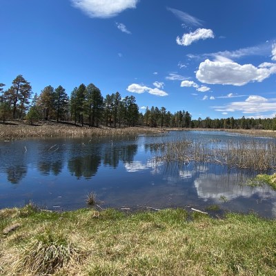 Woodland Lake in Pinetop-Lakeside.