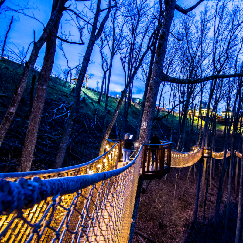 Treetop bridge walk in Ankeesta, Tennessee.