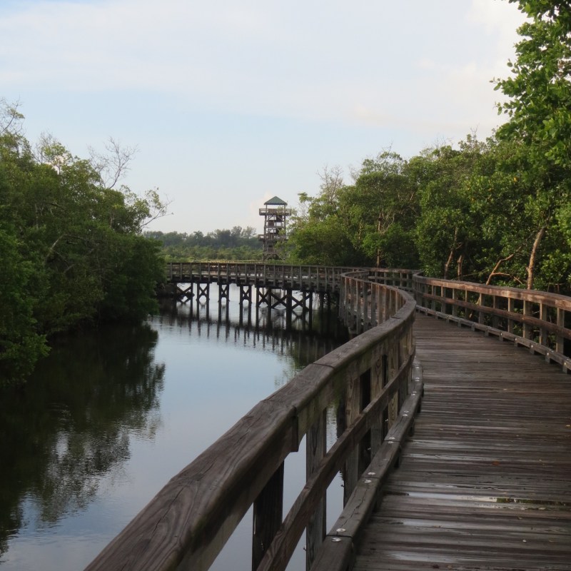 The tall observation tower at Robinson Preserve on the horizon.