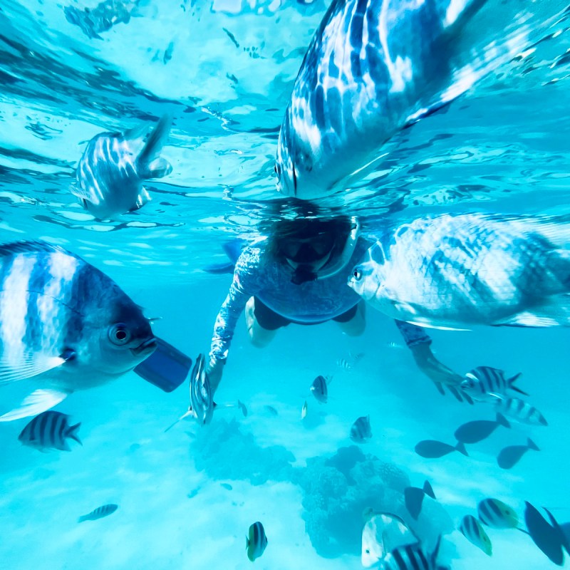 Snorkeling in Fakarava