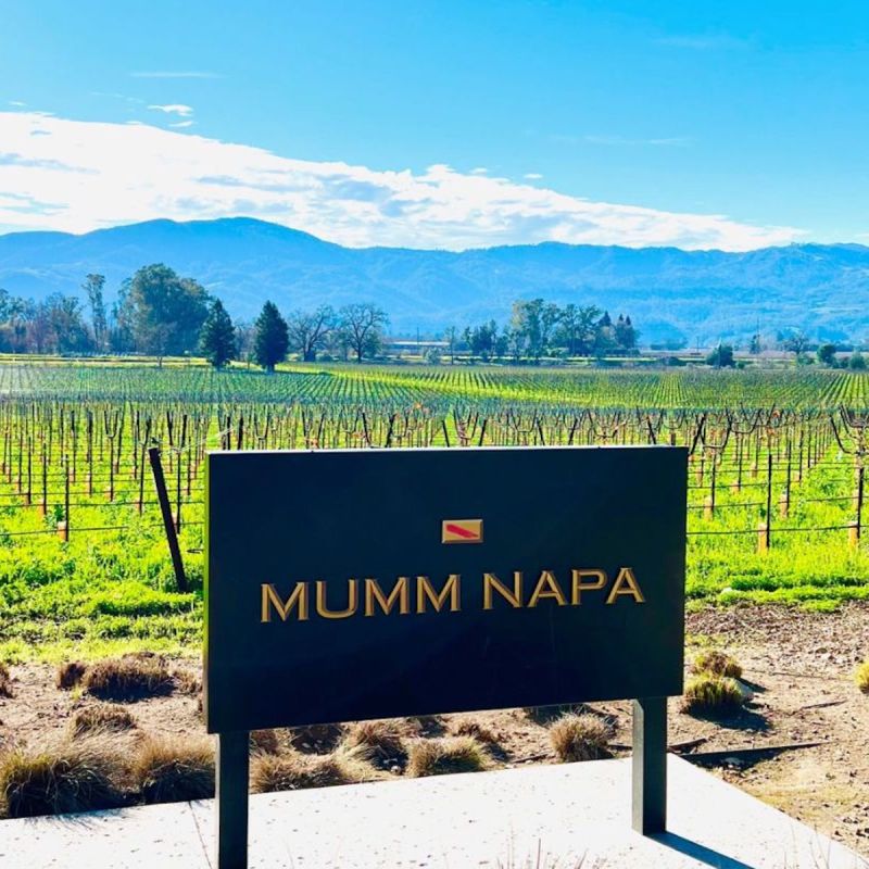 Mumm Winery