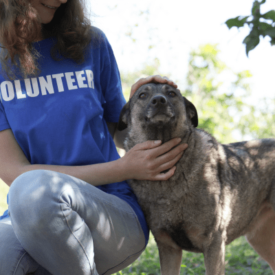 A volunteer petting a dog.