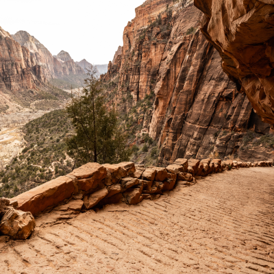 Wide Trail Heads Downhill into zion canyon from angels Landing along the West Rim