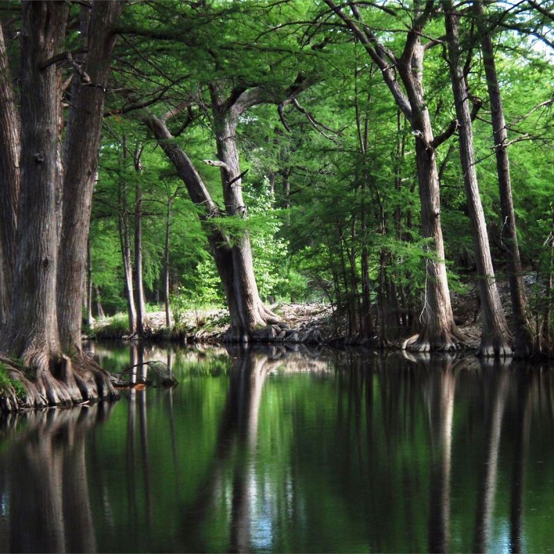 Guadalupe River near Kerrville, Texas