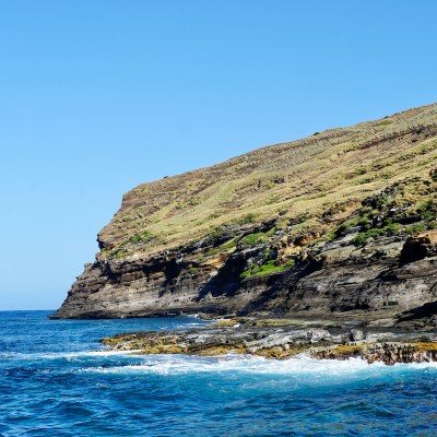 grassy cliffs and ocean