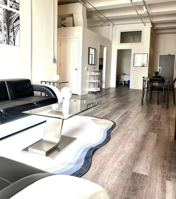 Luxe Loft in Chicago near Grant Park