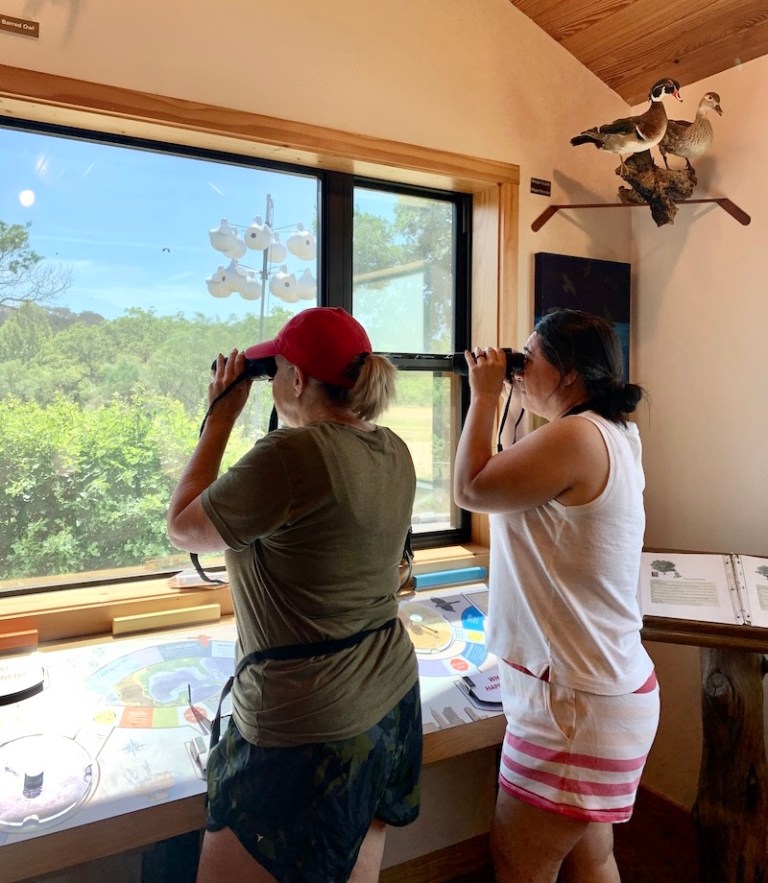 14 Best Things To Do During A Weekend In Marble Falls TravelAwaits