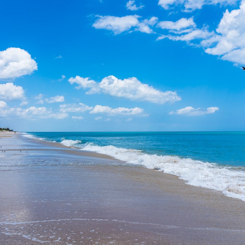 Wabasso Beach Park beach