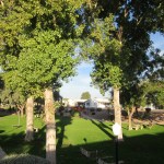 Green space bordered by homes in an Arizona retirement community