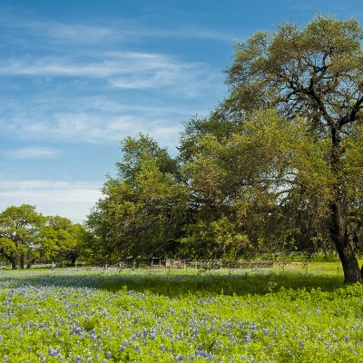 A beautiful scene in Marble Falls, Texas.