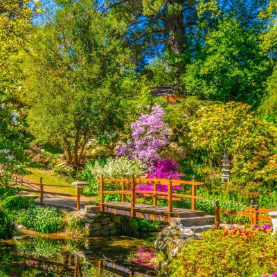 Japanese garden at Powerscourt Estate in Ireland.