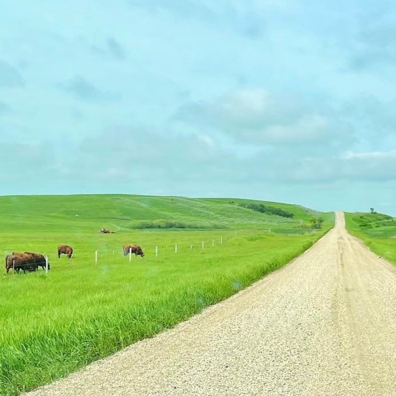 The North Dakota countryside