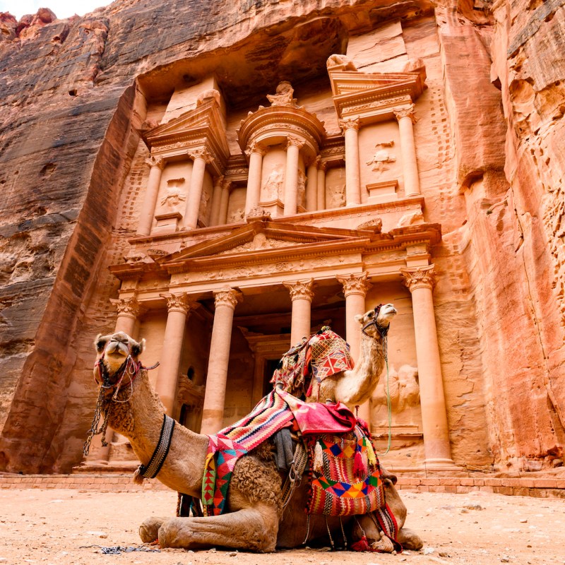 Camels in front of Al Khazneh (The Treasury) at Petra in Jordan.