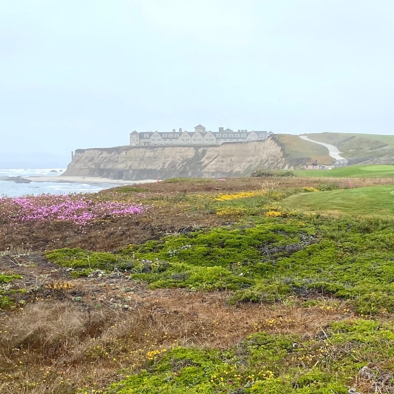 View of the Ritz Carlton Half Moon Bay from the Coastal Trail.