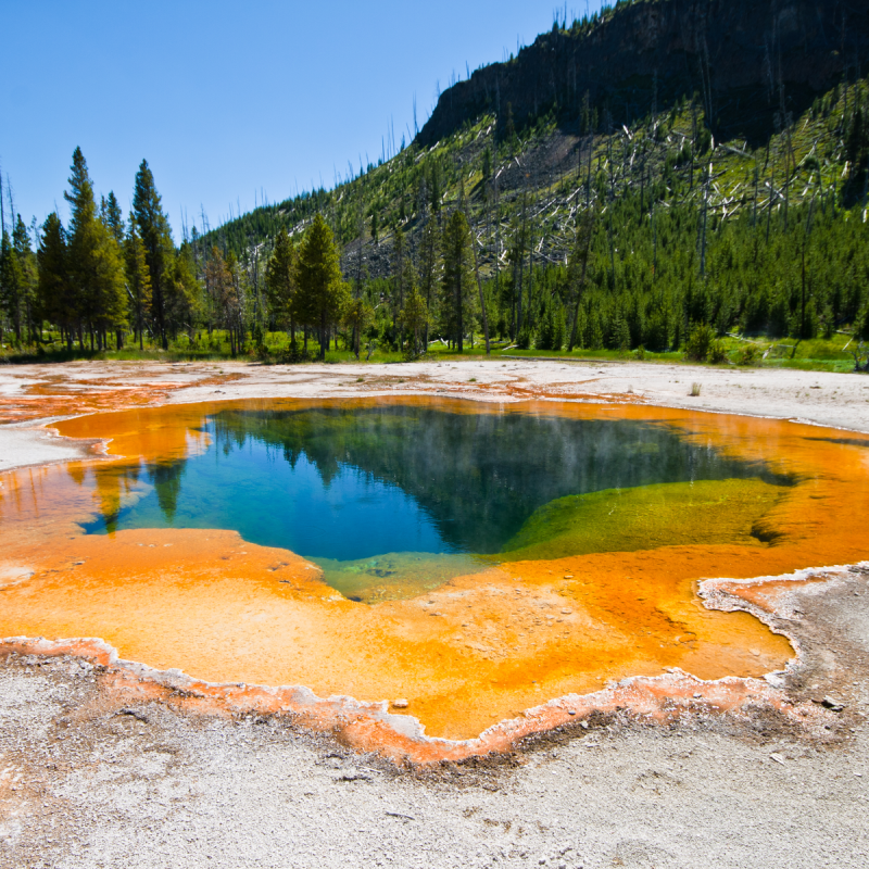 The Emerald Pool, Yellowstone National Park