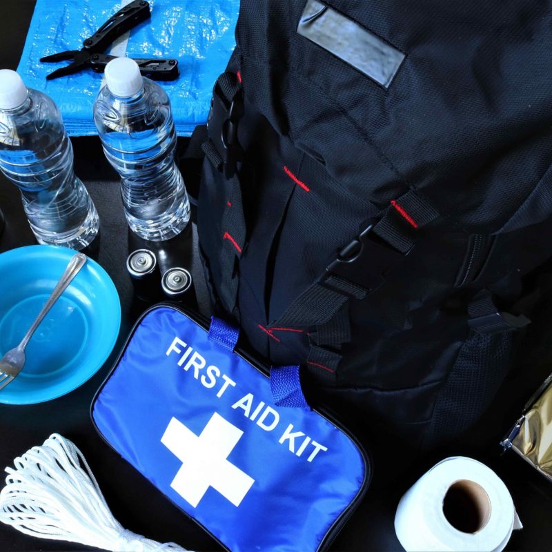 Basic emergency survival kit