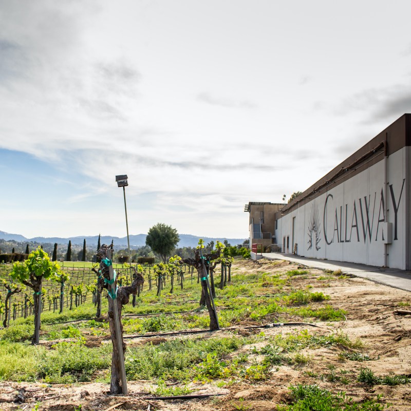 Callaway Vineyards and Winery in California