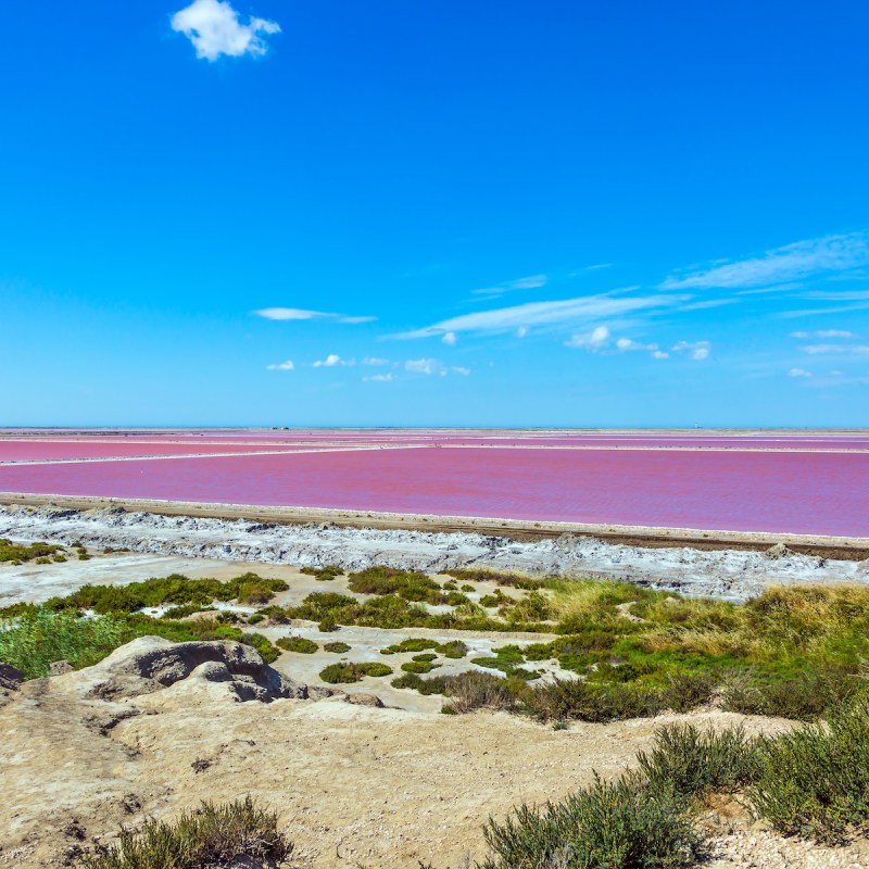 Pink salt water near Camargue, France