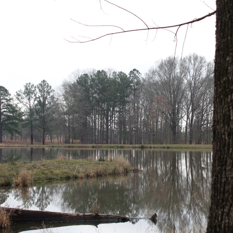 Alabama's Forever Wild Trails