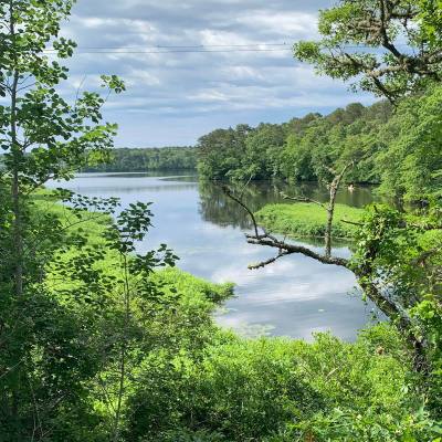 The Herring River on the Cape Cod Rail Trail