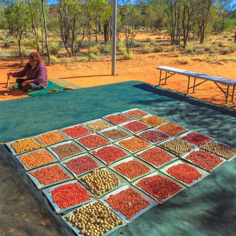 Karrke Aboriginal Cultural Experience tour